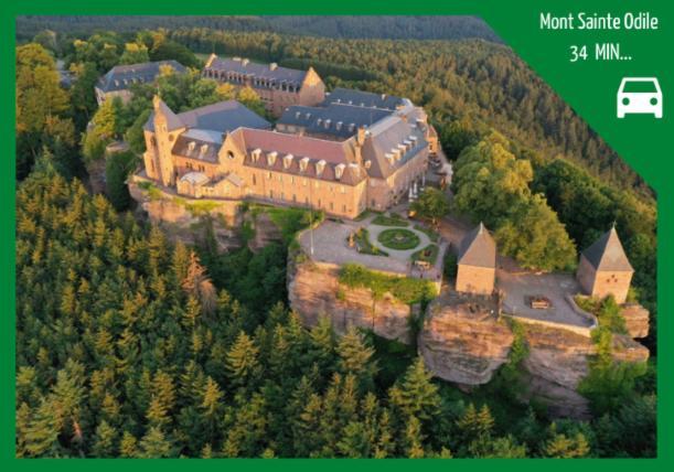 Apartmán Grenier Des Cigognes Sélestat Exteriér fotografie