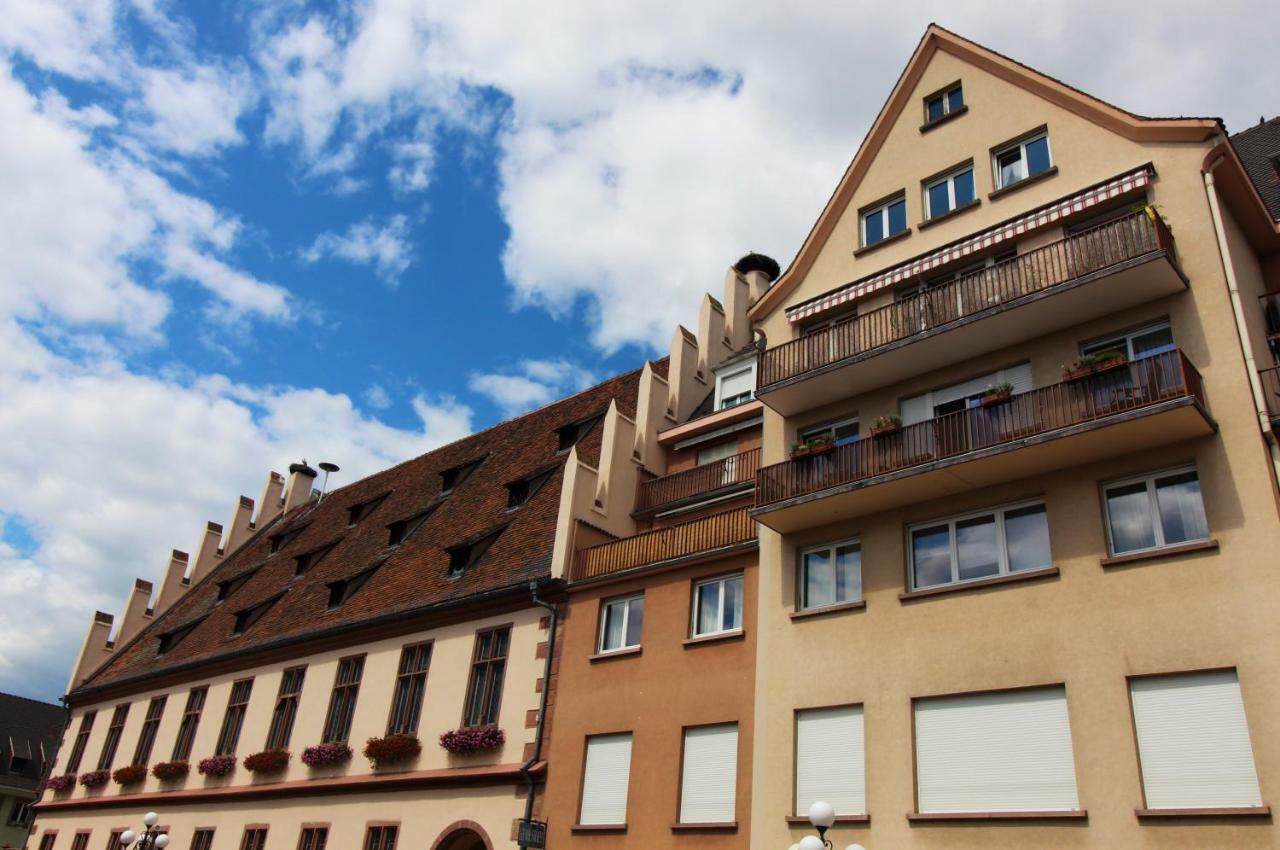 Apartmán Grenier Des Cigognes Sélestat Exteriér fotografie